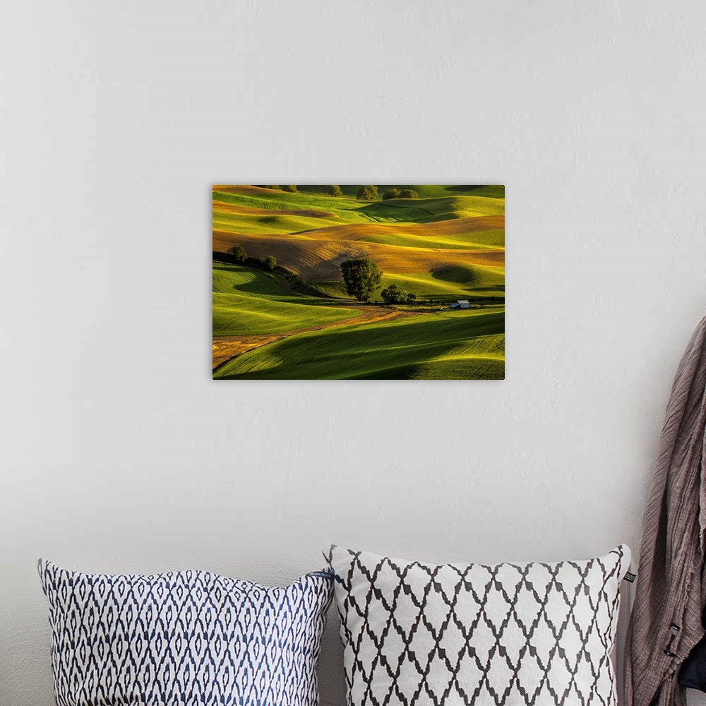 A bohemian room featuring Hills of Palouse