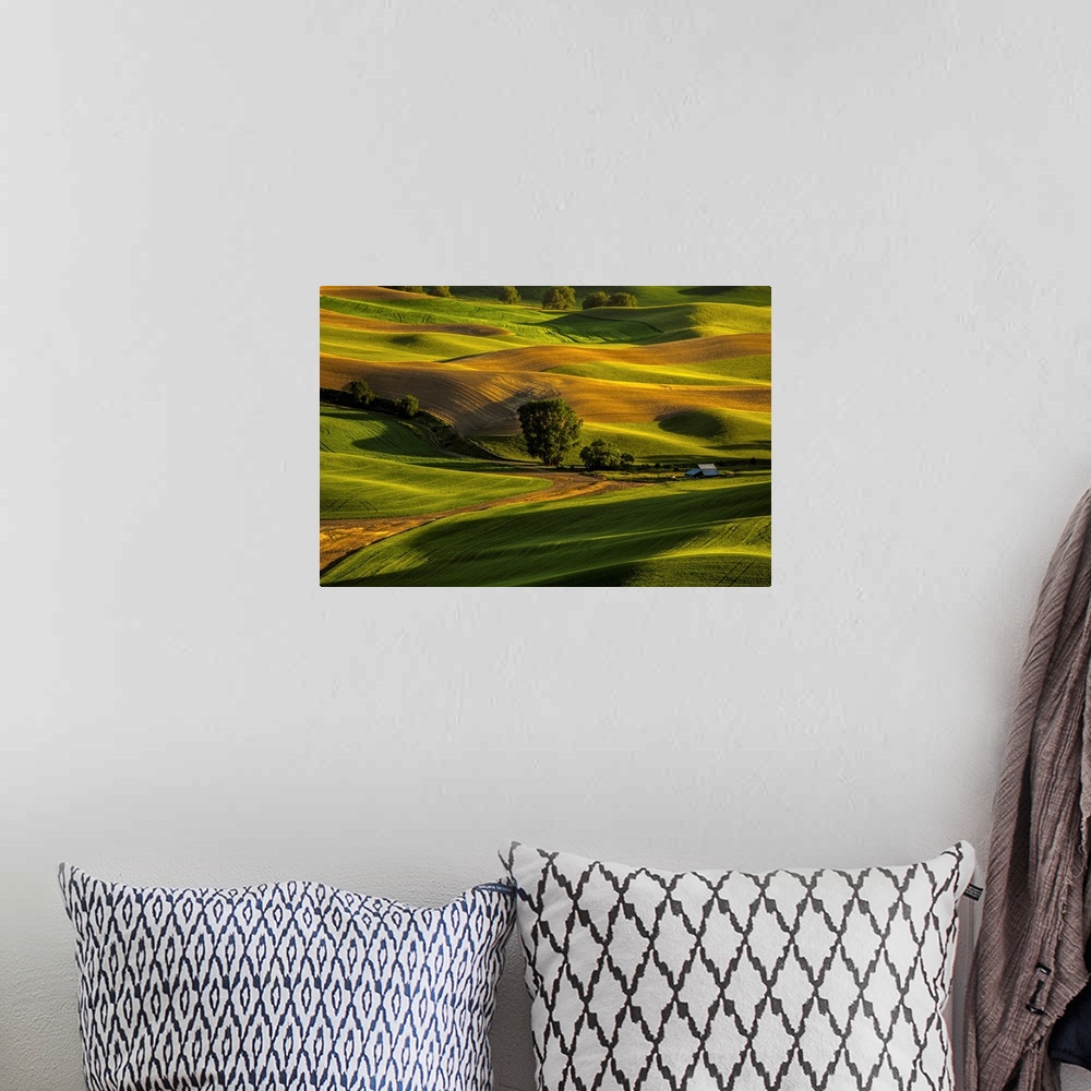 A bohemian room featuring Hills of Palouse