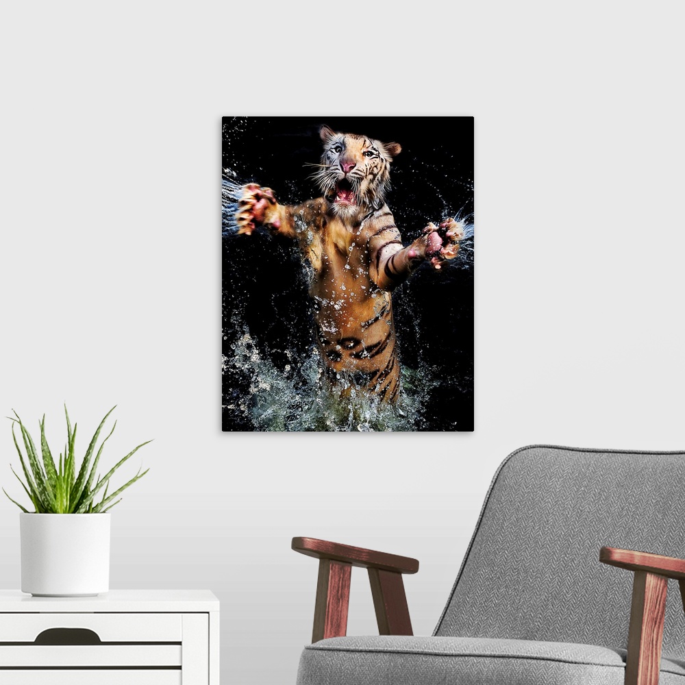 A modern room featuring A tiger leaping out of the water with its arms outstretched.