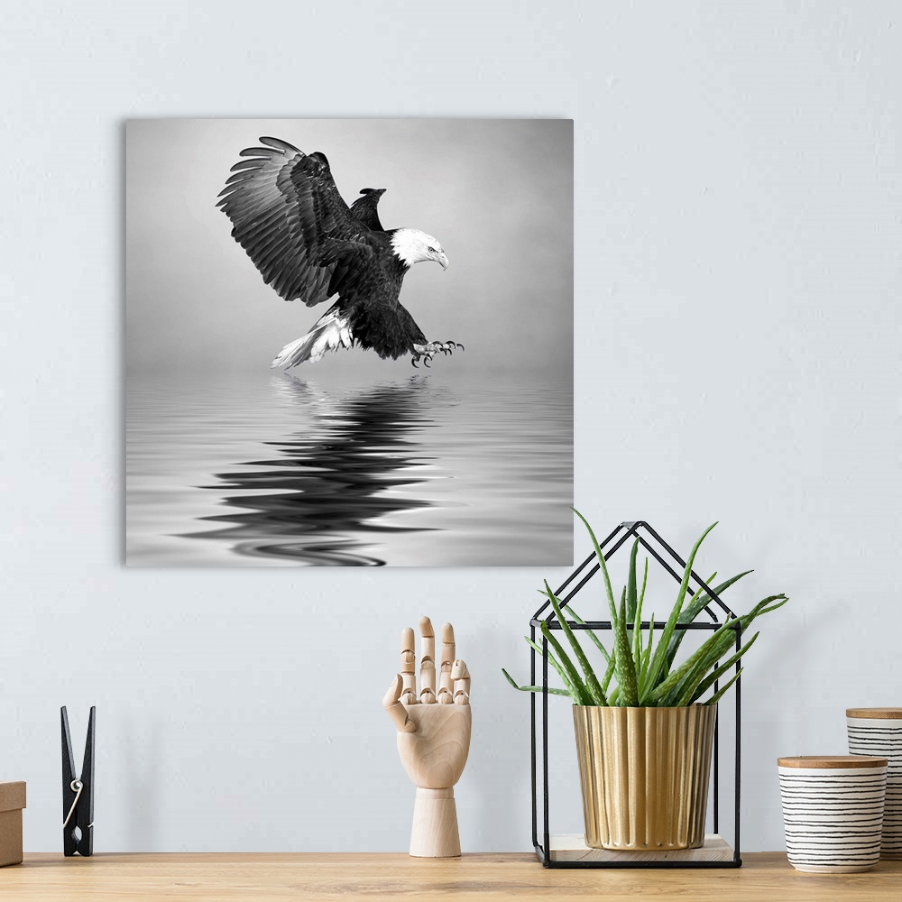 A bohemian room featuring Black and white image of a Bald Eagle swooping down to the water.
