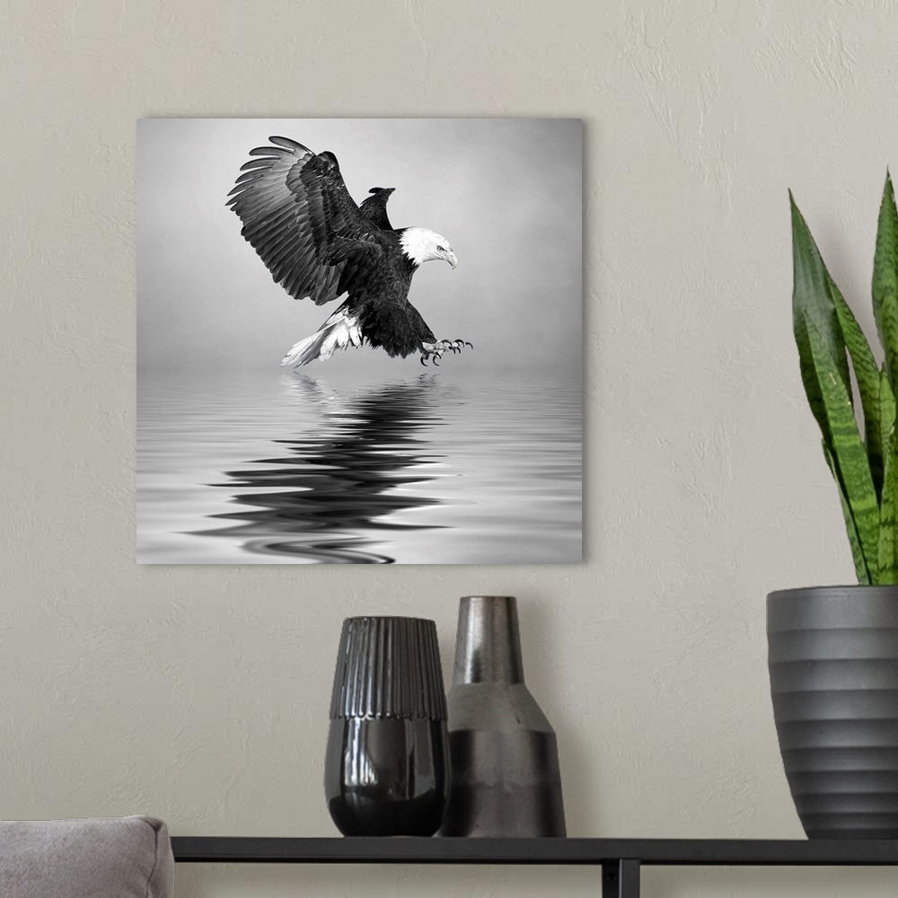 A modern room featuring Black and white image of a Bald Eagle swooping down to the water.