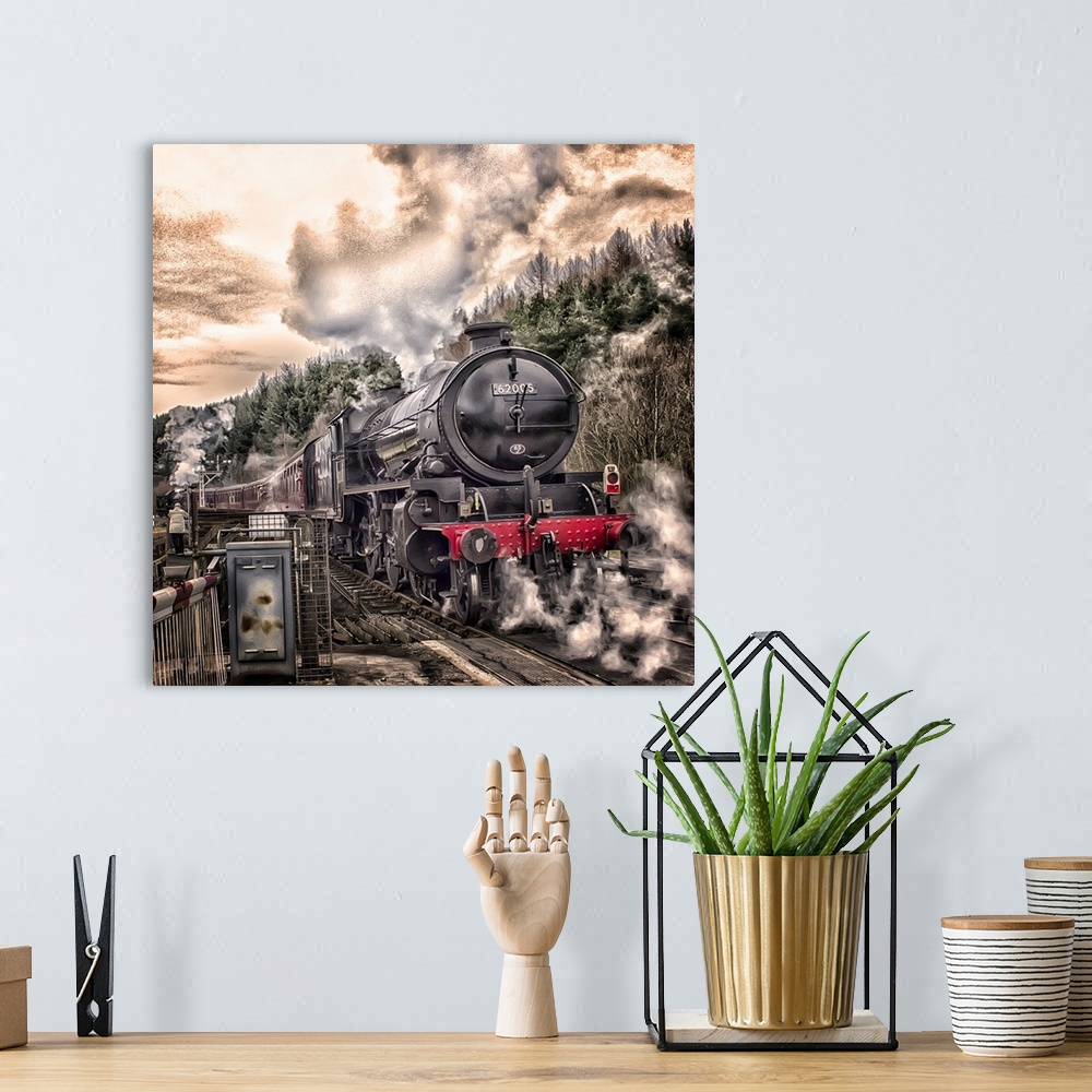 A bohemian room featuring A powerful steam locomotive on the tracks near a forest on a cloudy day.