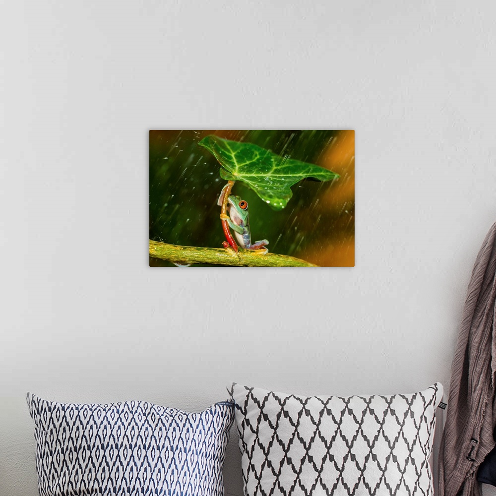 A bohemian room featuring A small tree frog using a leaf as an umbrella.