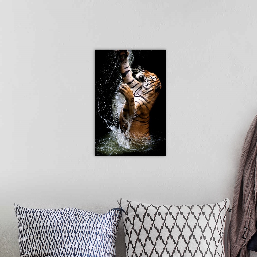 A bohemian room featuring A tiger leaping out of the water, reaching up with its paws.