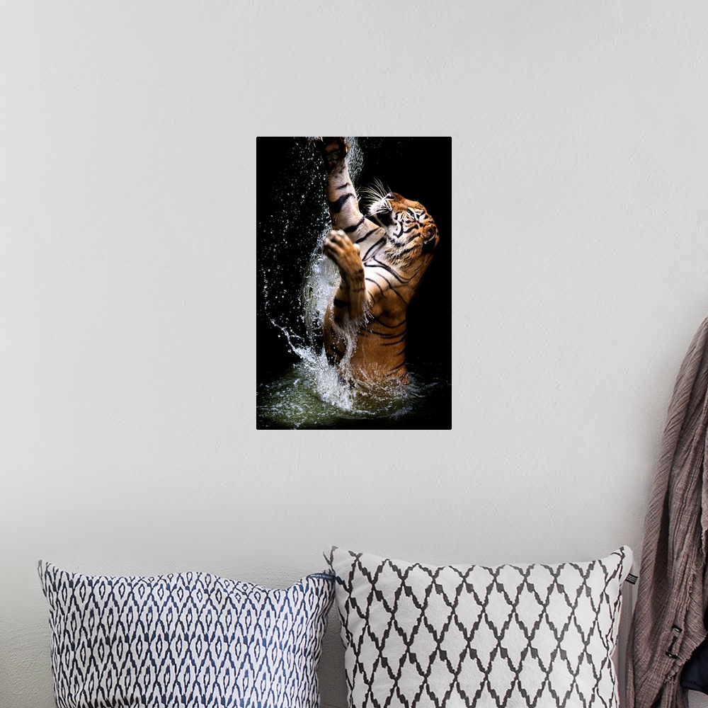 A bohemian room featuring A tiger leaping out of the water, reaching up with its paws.