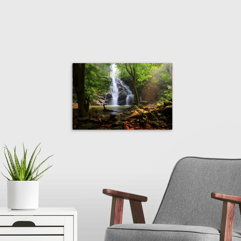 A modern room featuring Photograph of a Malaysian forest with a view of a waterfall falling down over top of rocks.
