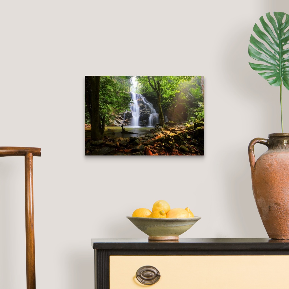 A traditional room featuring Photograph of a Malaysian forest with a view of a waterfall falling down over top of rocks.