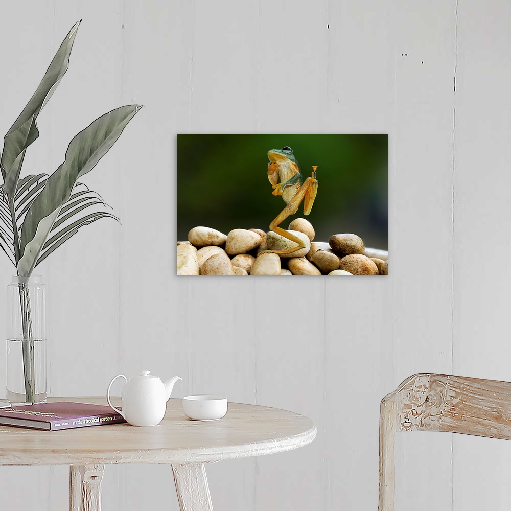 A farmhouse room featuring A tree frog appearing to strike an amusing pose.