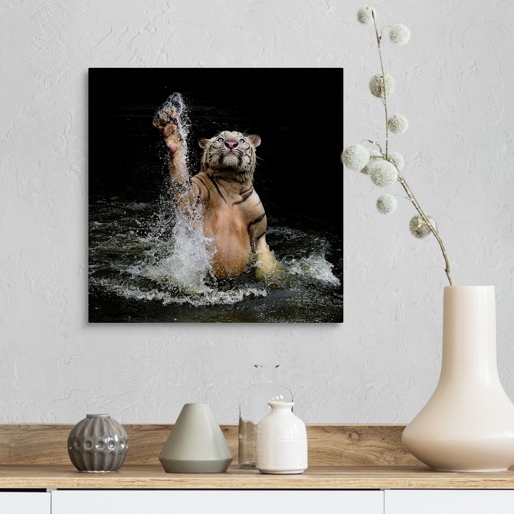 A farmhouse room featuring Photograph of a tiger leaping from shallow water and splashing it up all around him.