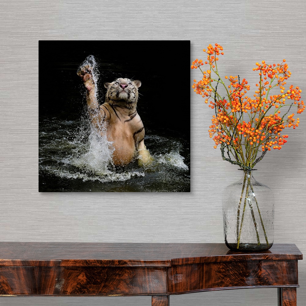 A traditional room featuring Photograph of a tiger leaping from shallow water and splashing it up all around him.