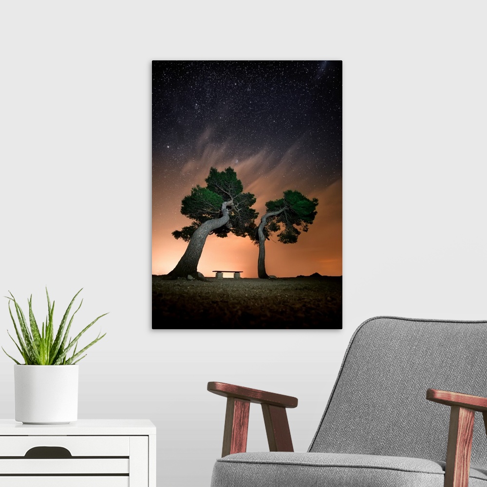 A modern room featuring A lone bench between two large trees under the night sky.
