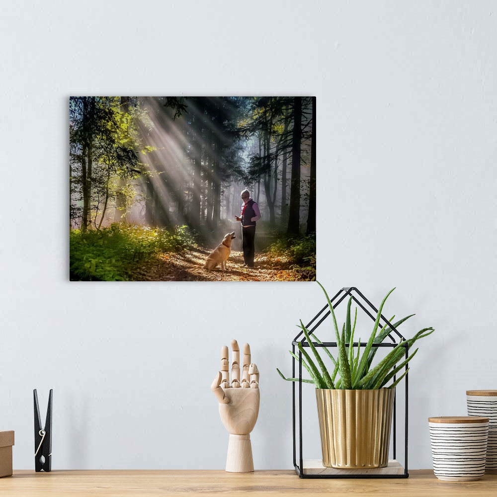 A bohemian room featuring A person and their dog standing in the sunlight in a forest.