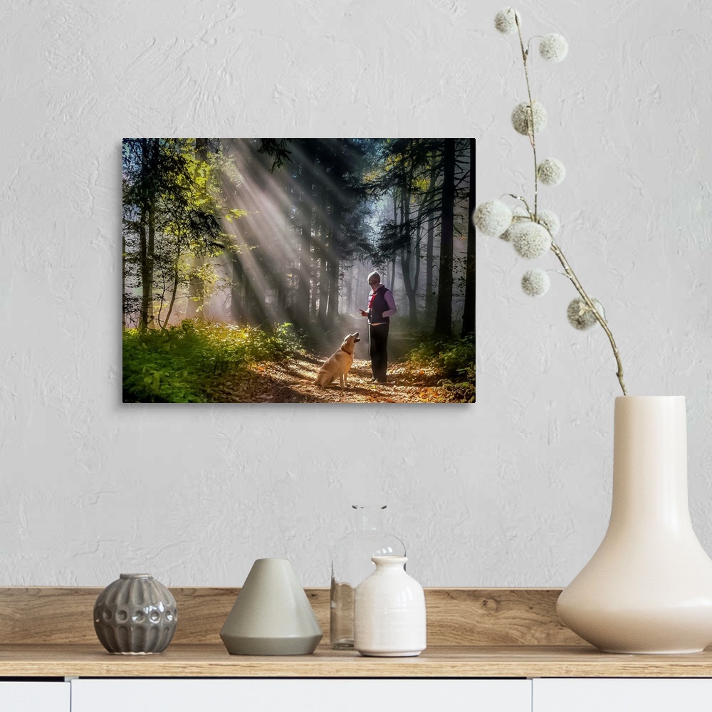 A farmhouse room featuring A person and their dog standing in the sunlight in a forest.