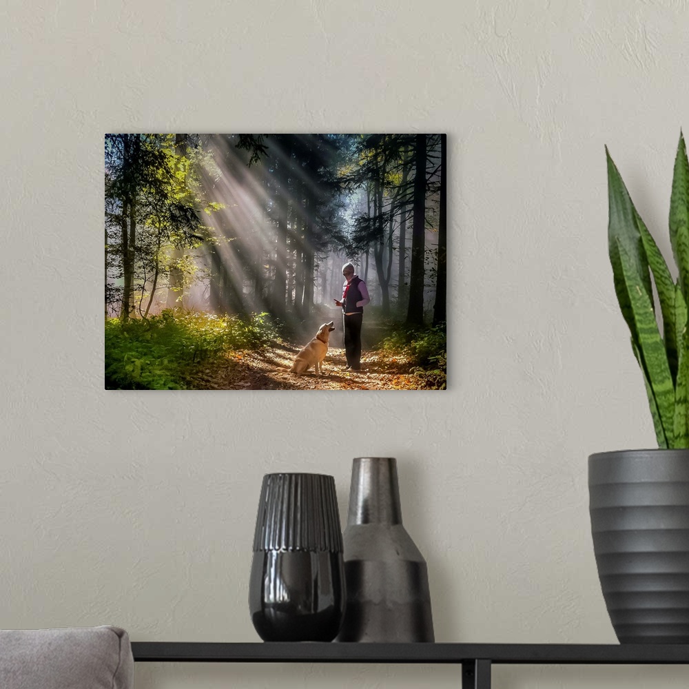 A modern room featuring A person and their dog standing in the sunlight in a forest.