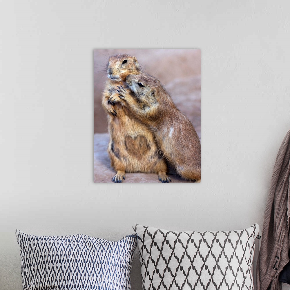 A bohemian room featuring Prairie Dogs showing each other some affection.