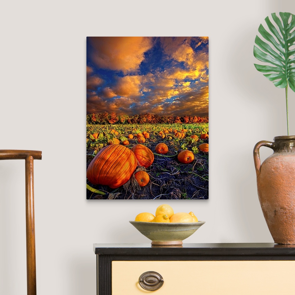 A traditional room featuring A pumpkin patch under a cloudy sky at sunset.