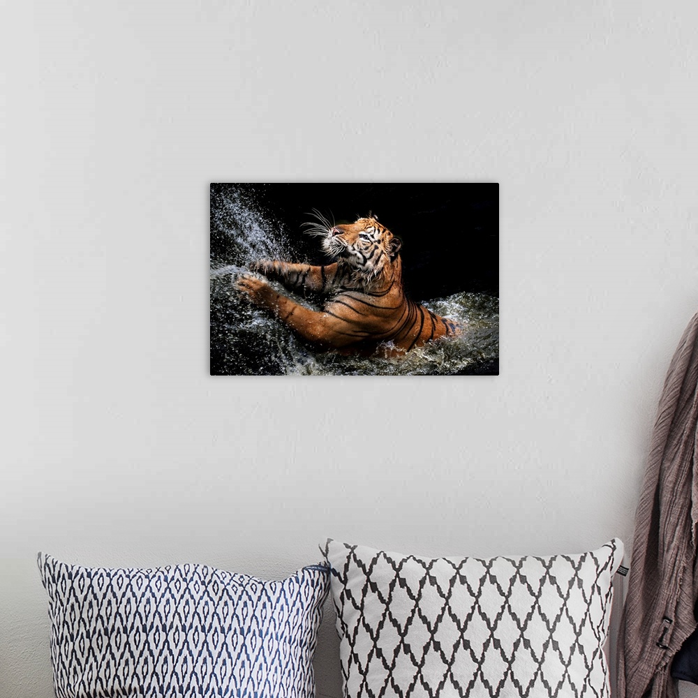 A bohemian room featuring A photograph of a tiger leaping up into the air from shallow water.