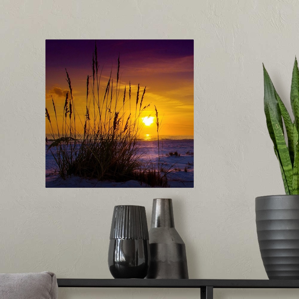 A modern room featuring Sunset on Siesta Key, silhouette of grasses from inches above the sand.