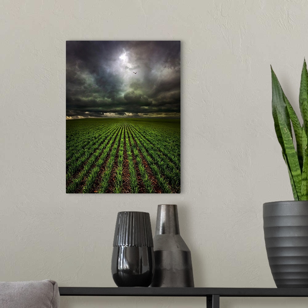 A modern room featuring Countryside scene looking down the field of crops under a stormy looking sky.