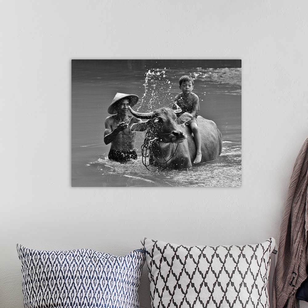 A bohemian room featuring A man splashing a boy sitting on a cow in a river.