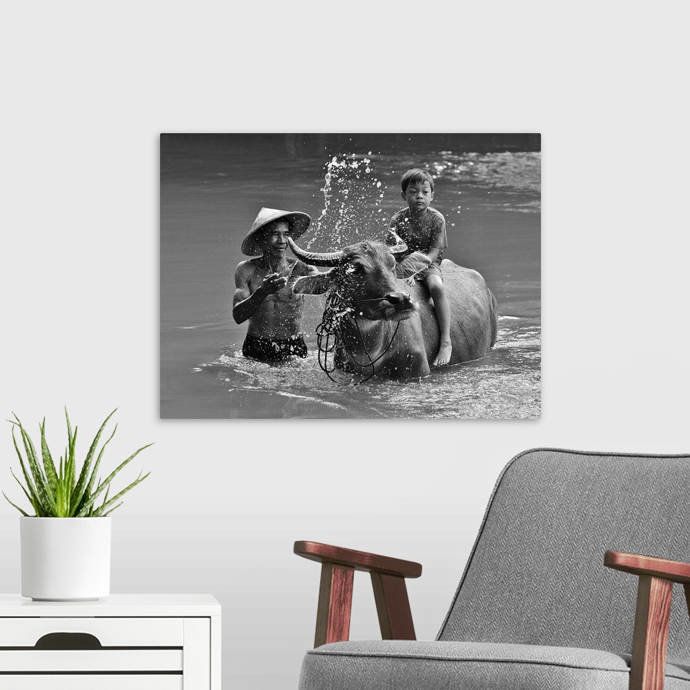A modern room featuring A man splashing a boy sitting on a cow in a river.