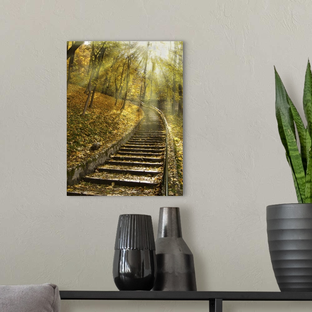 A modern room featuring A flight of stairs on a forest path in autumn.