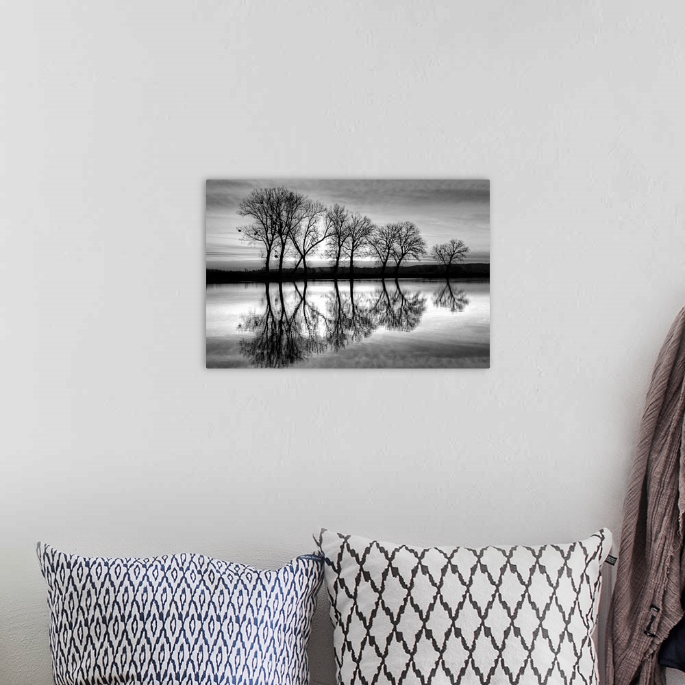 A bohemian room featuring A black and white photograph of a line of trees reflecting in a canal below.