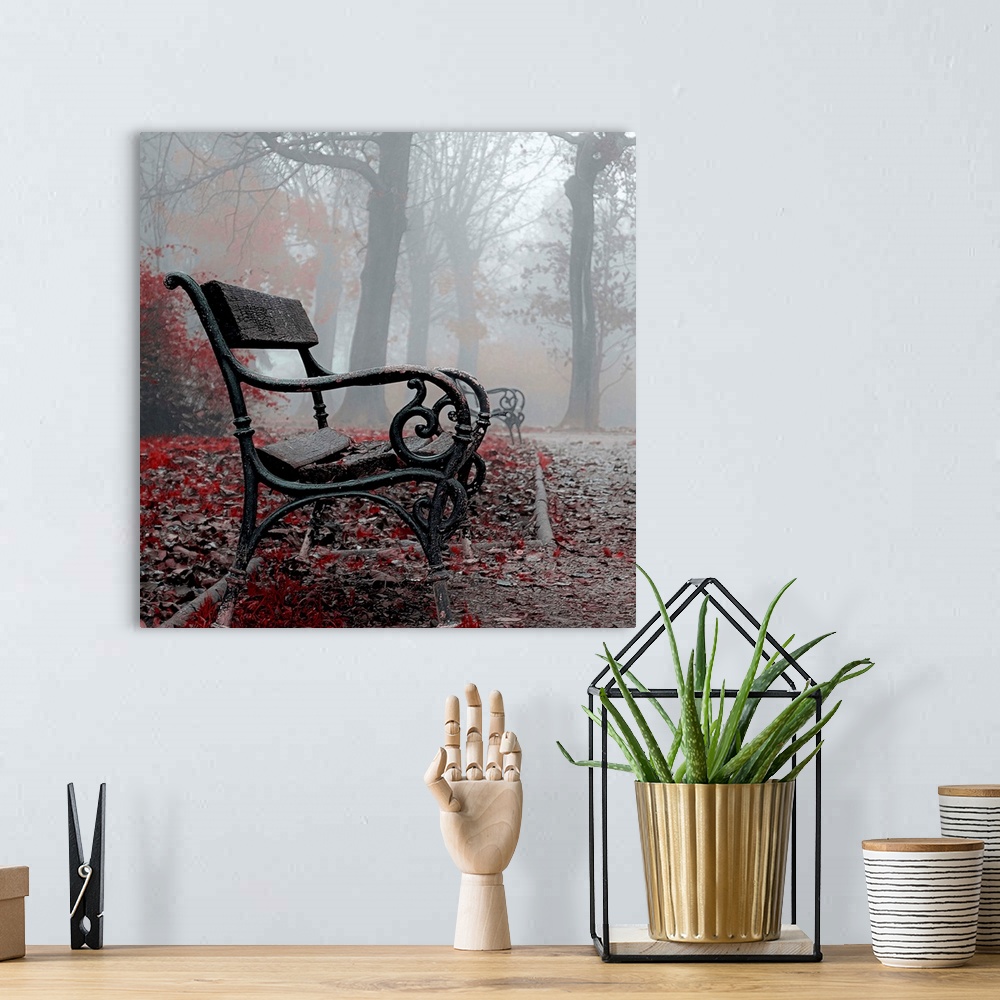 A bohemian room featuring A black metal bench in a foggy park, with red autumn leaves surrounding it.