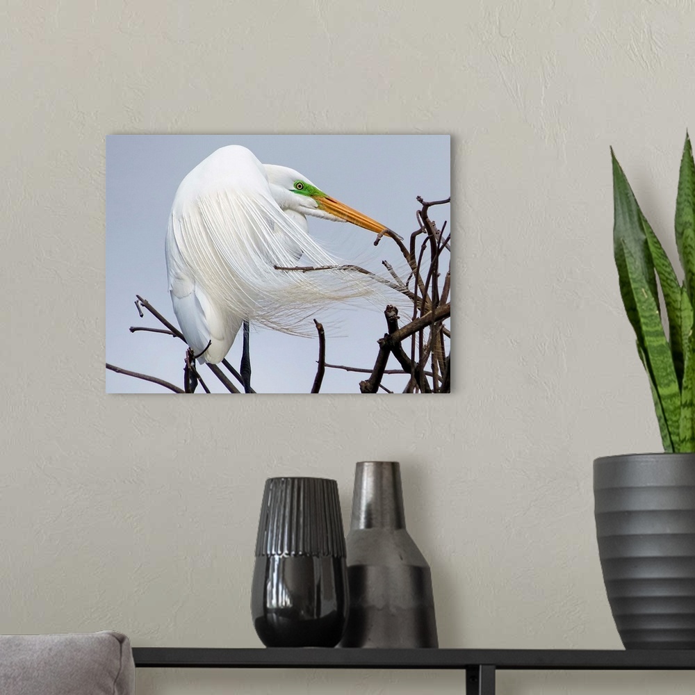 A modern room featuring The Egret