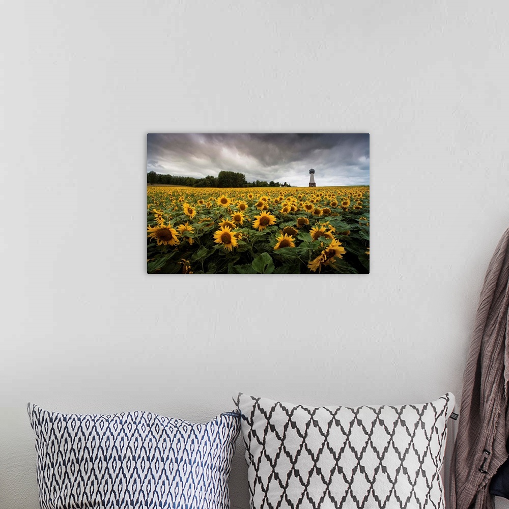 A bohemian room featuring A tower stands above a field of sunflowers under a cloudy sky.