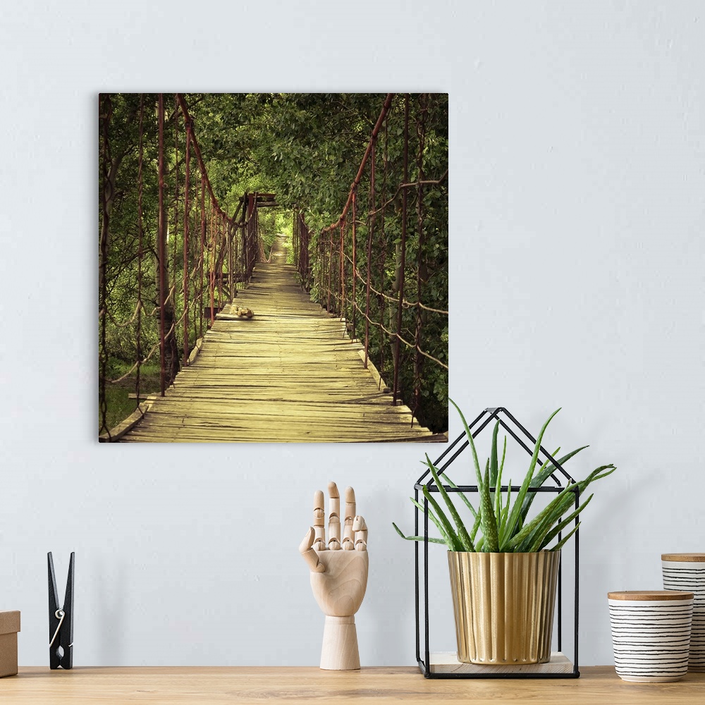 A bohemian room featuring A wooden footbridge in a verdant forest.