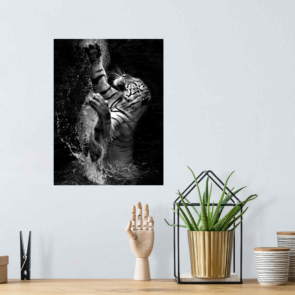 A bohemian room featuring Black and white image of a tiger leaping out of the water.