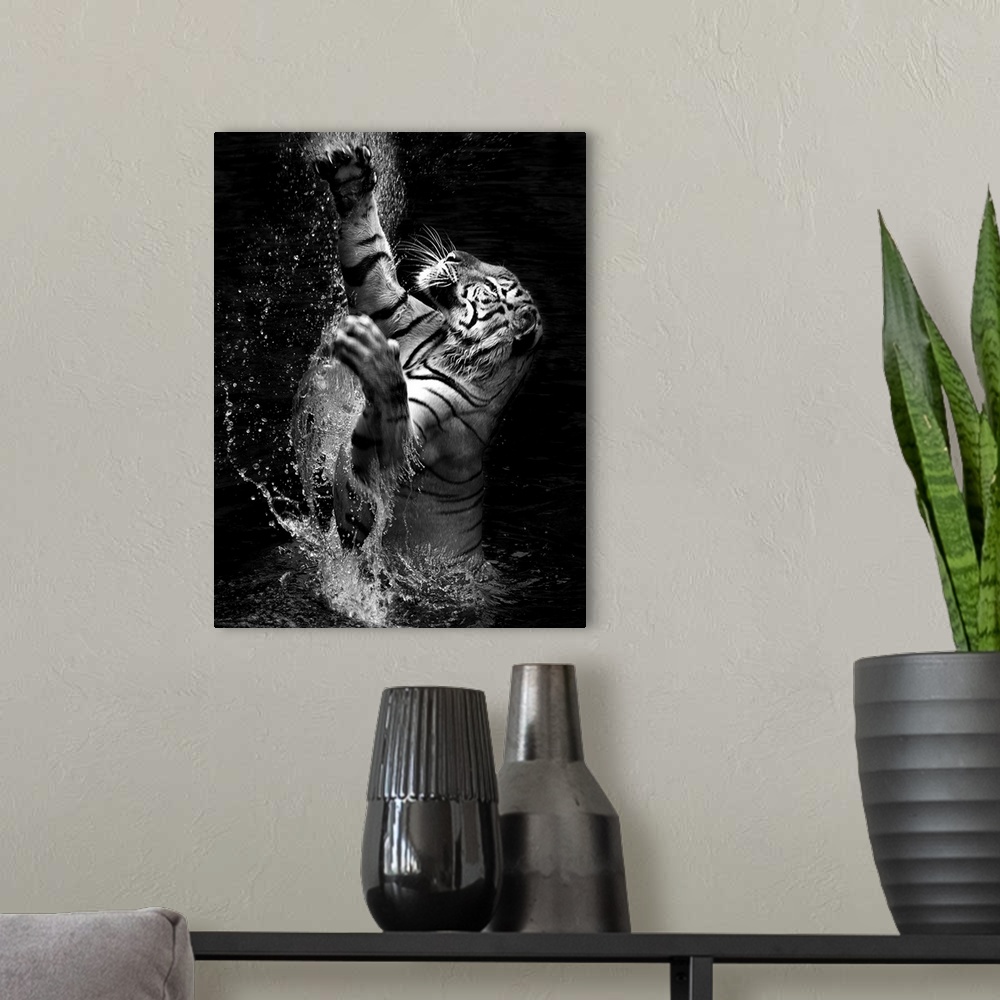 A modern room featuring Black and white image of a tiger leaping out of the water.