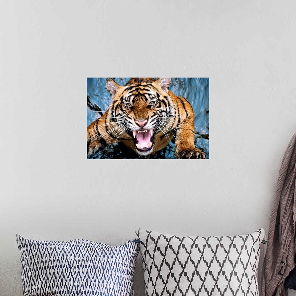 A bohemian room featuring A snarling tiger leaping out of the water.