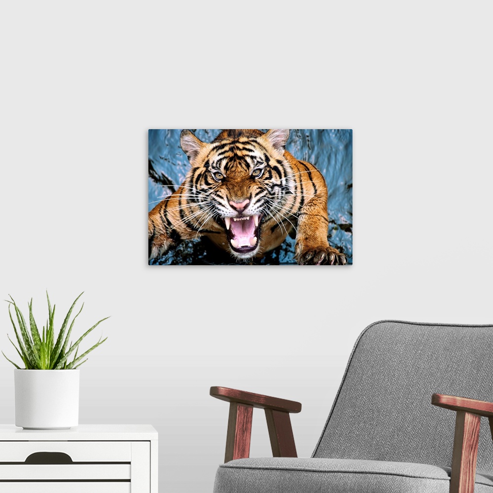A modern room featuring A snarling tiger leaping out of the water.