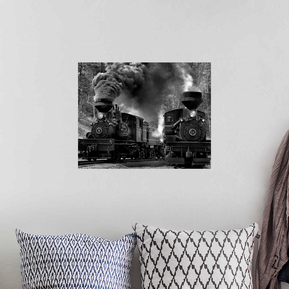 A bohemian room featuring Twin locomotives on the railroad tracks.
