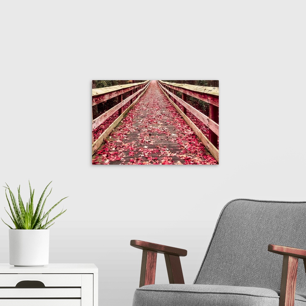A modern room featuring A wooden walkway covered with red fallen leaves.