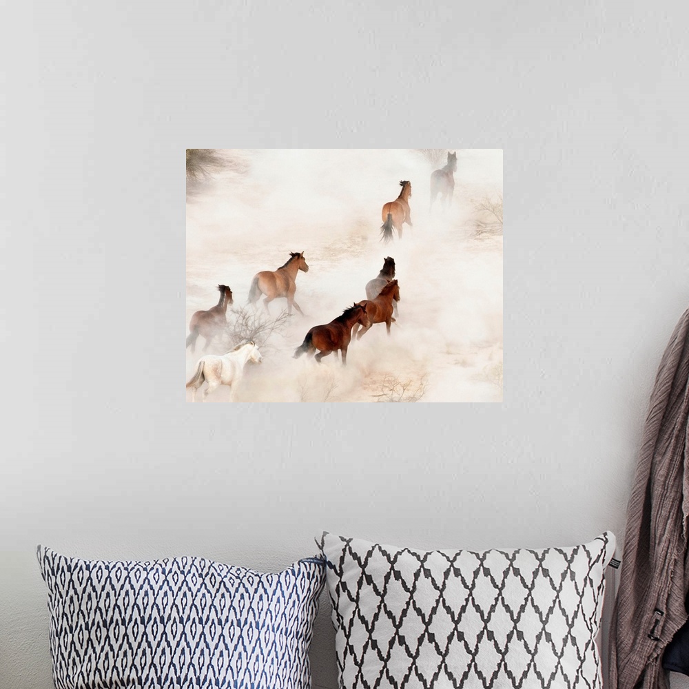 A bohemian room featuring Gila River Reservation, a stampeding group of wild mustangs kicking up dust.