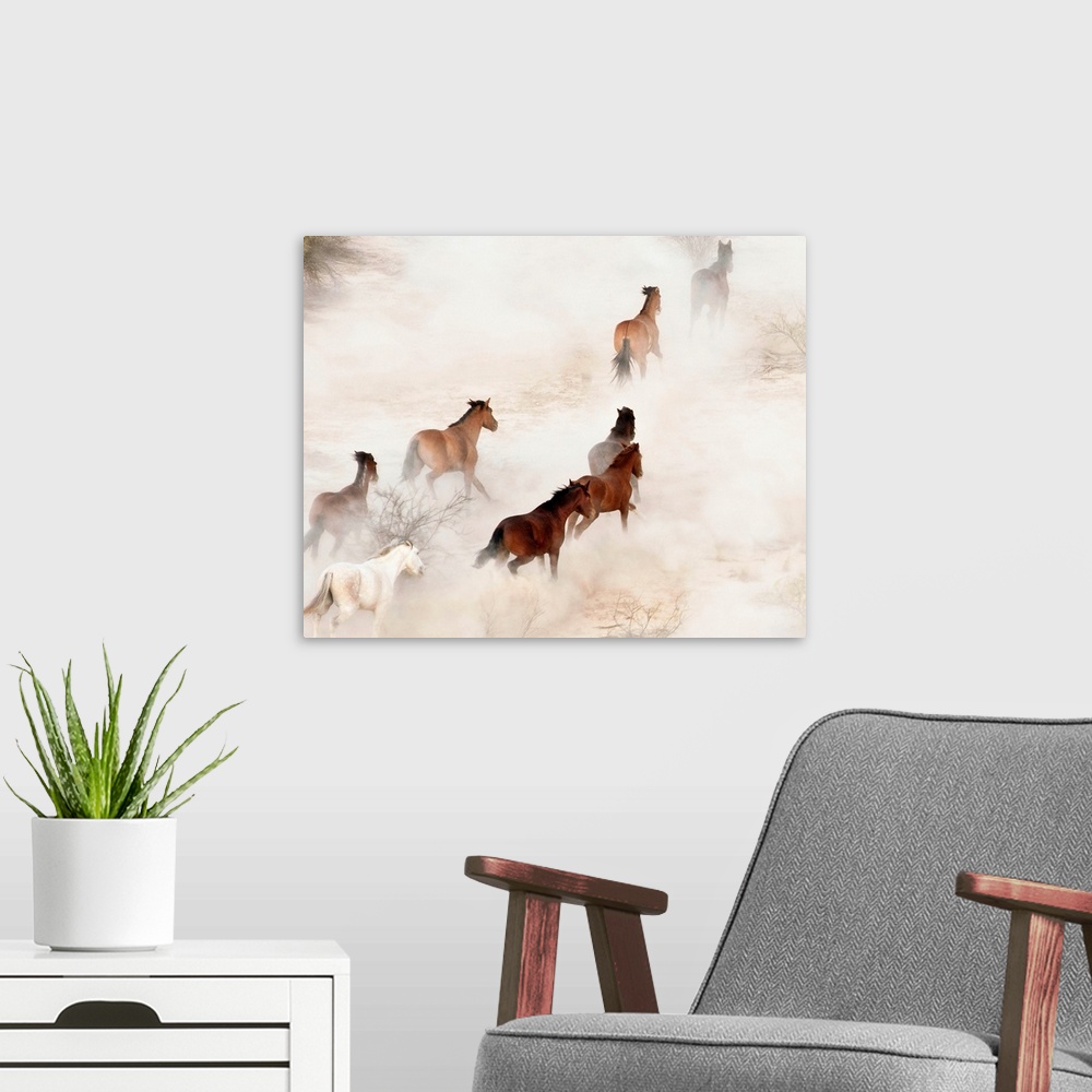 A modern room featuring Gila River Reservation, a stampeding group of wild mustangs kicking up dust.