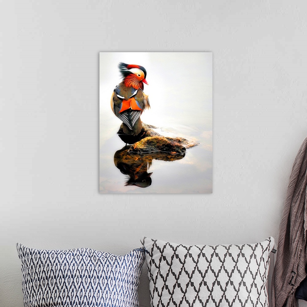 A bohemian room featuring Wood Duck Reflection