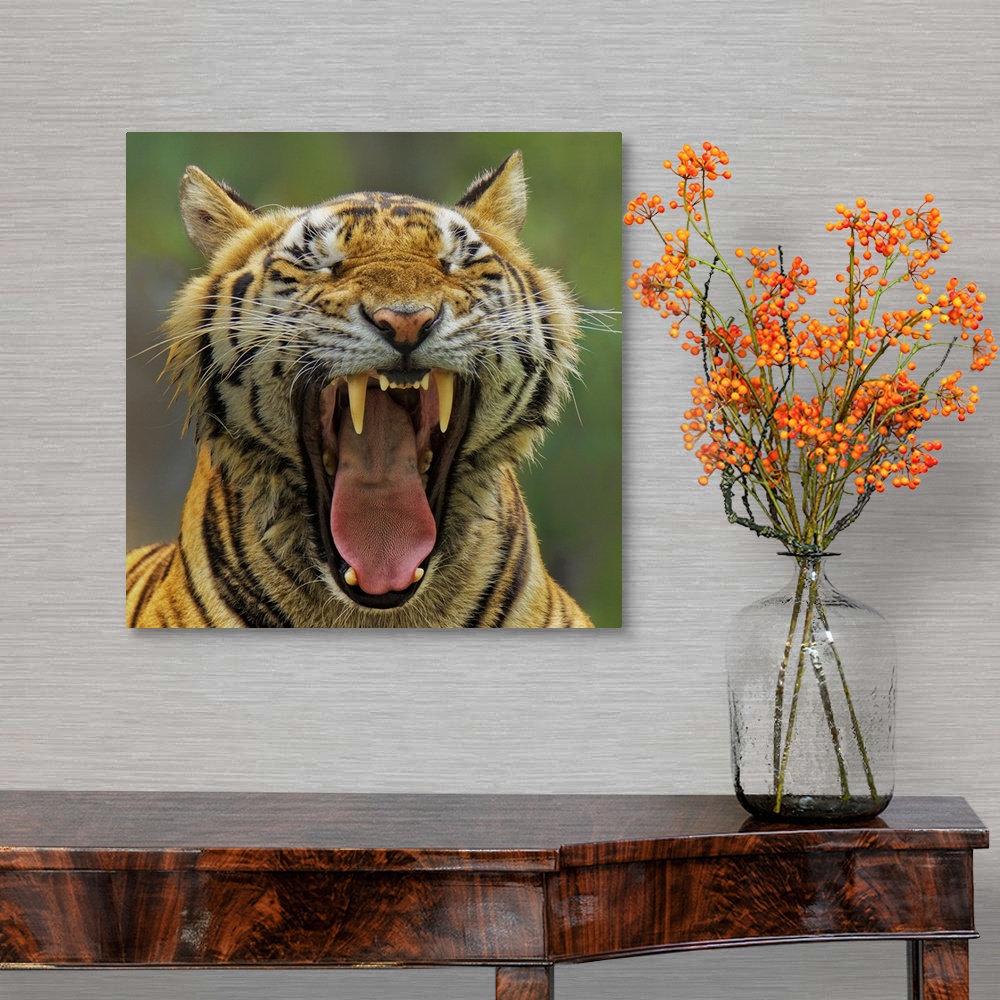 A traditional room featuring Portrait of a Tiger