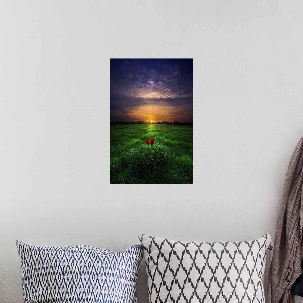 A bohemian room featuring Two small red blooms in a green field, with a sunset on the horizon.