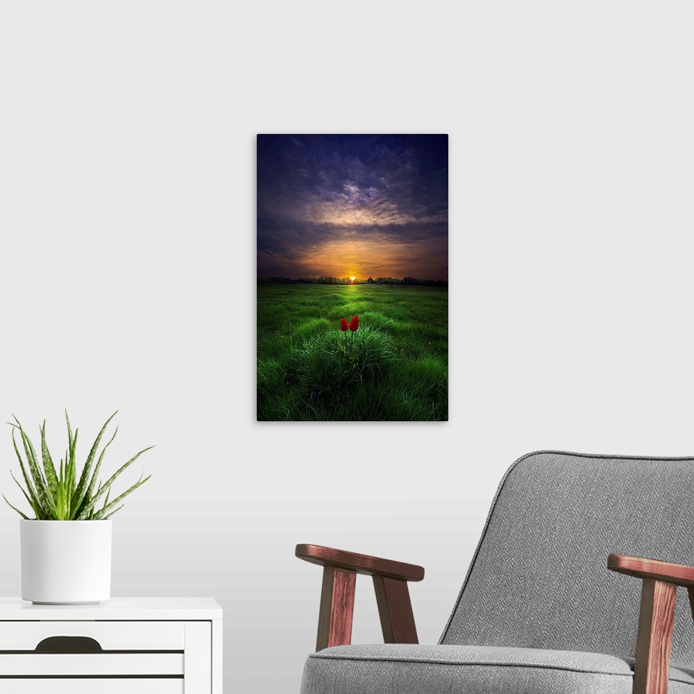 A modern room featuring Two small red blooms in a green field, with a sunset on the horizon.
