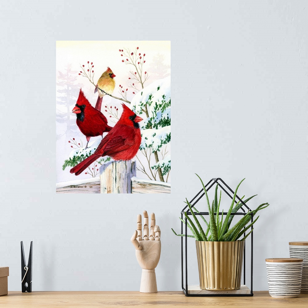 A bohemian room featuring Cardinals in Winter