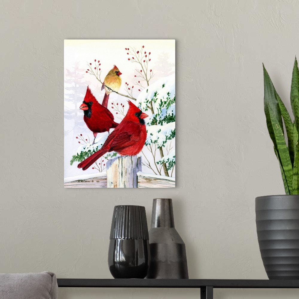 A modern room featuring Cardinals in Winter