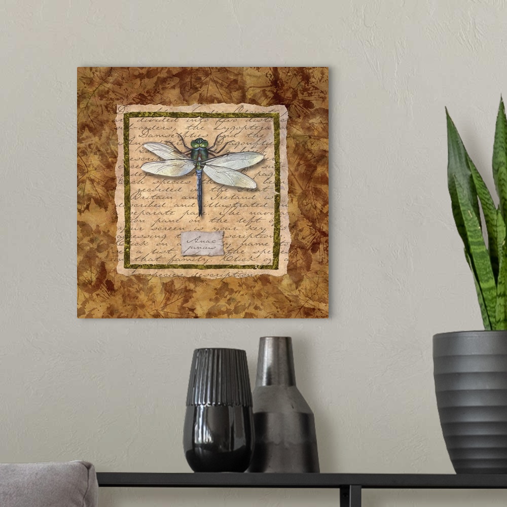 A modern room featuring Dragonfly-White