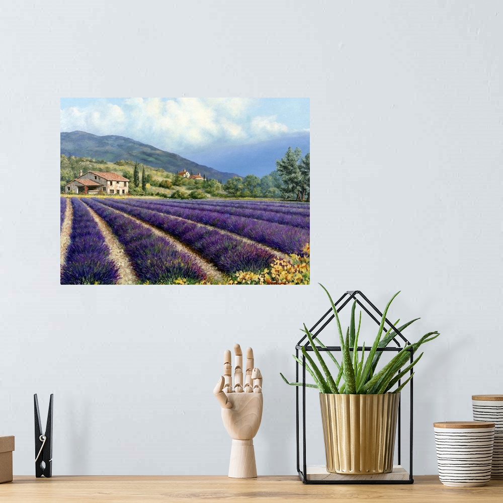 A bohemian room featuring Fields of Lavender