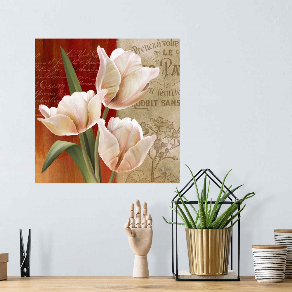 A bohemian room featuring French Tulips II