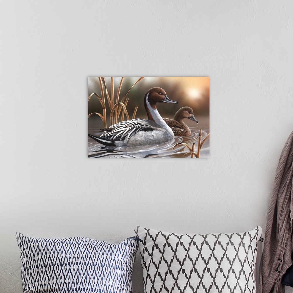 A bohemian room featuring Pintails
