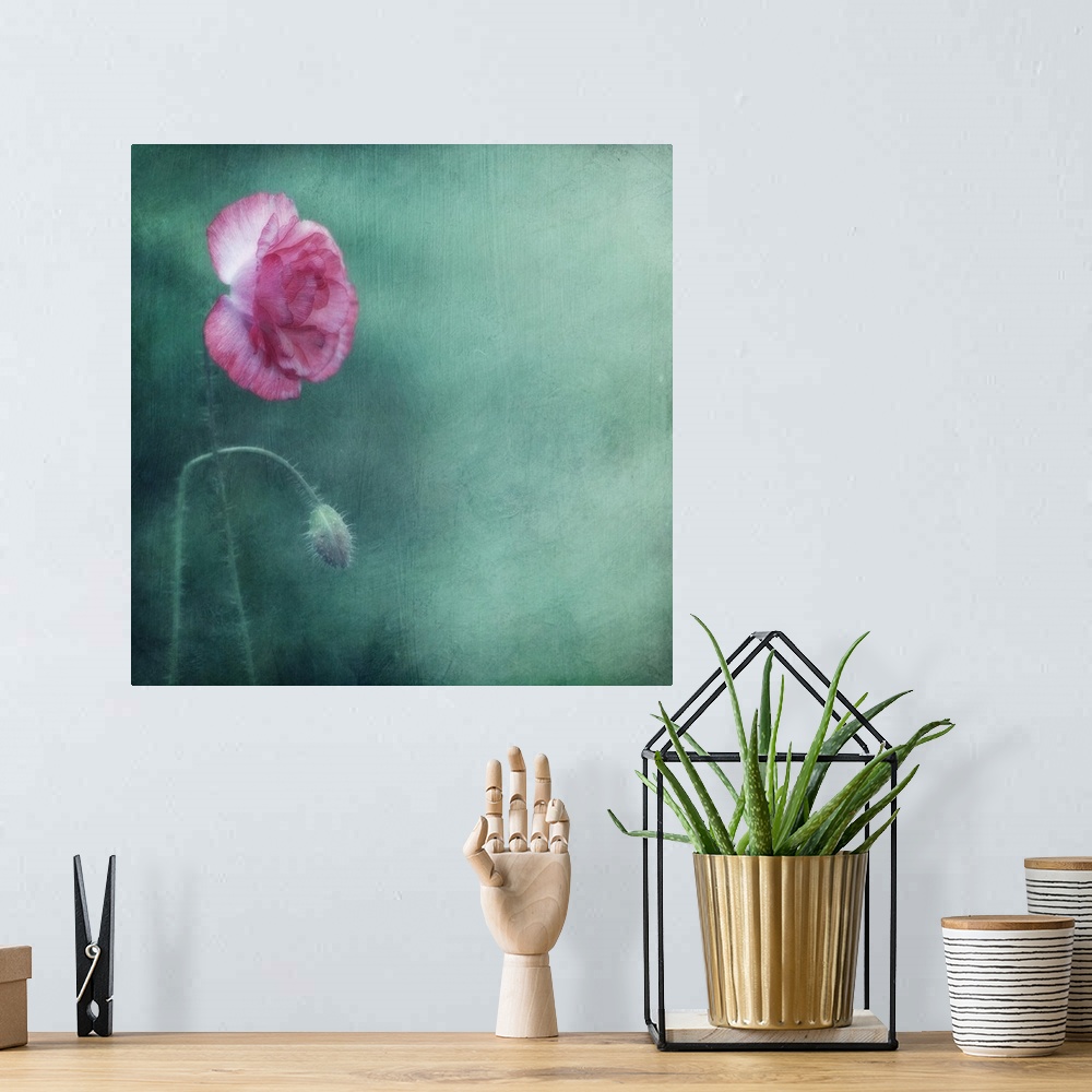 A bohemian room featuring An artistic photograph of a close-up of a pink flower against a dark seafoam green background.